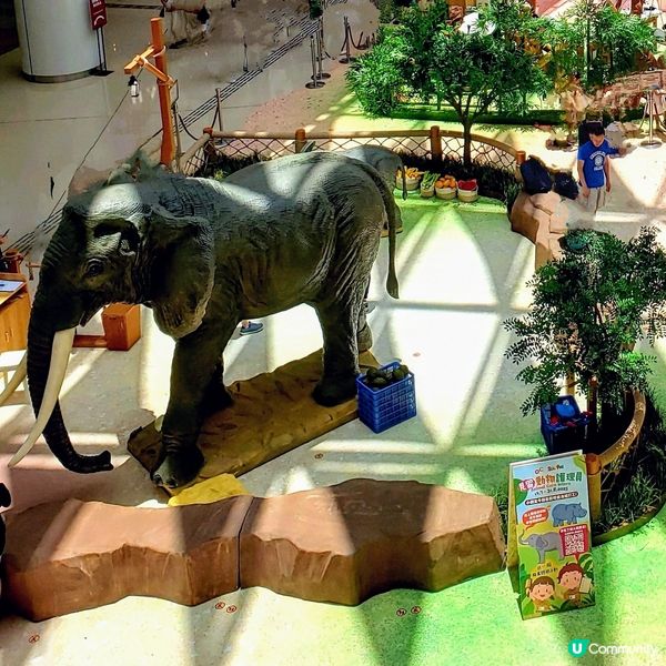 🐘奧海城親子活動！見習動物護理員開工啦 🐾 暑假必玩！