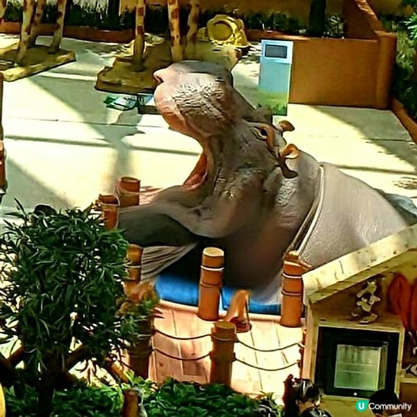 🐘奧海城親子活動！見習動物護理員開工啦 🐾 暑假必玩！