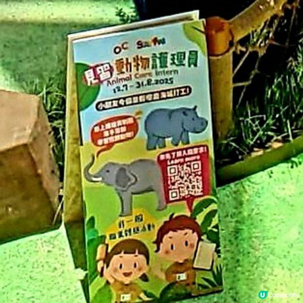 🐘奧海城親子活動！見習動物護理員開工啦 🐾 暑假必玩！