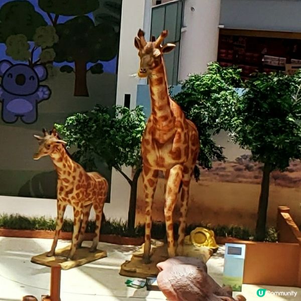 🐘奧海城親子活動！見習動物護理員開工啦 🐾 暑假必玩！