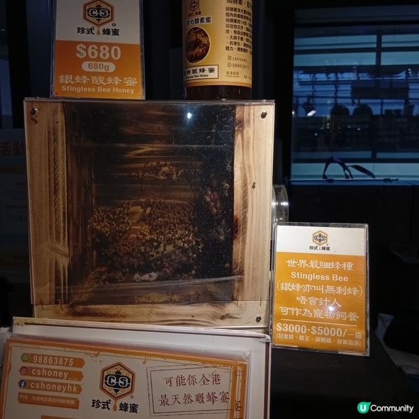  八號風球警告⚠️！留喺室內逛巿集都咁好玩？🤩 中環市集你