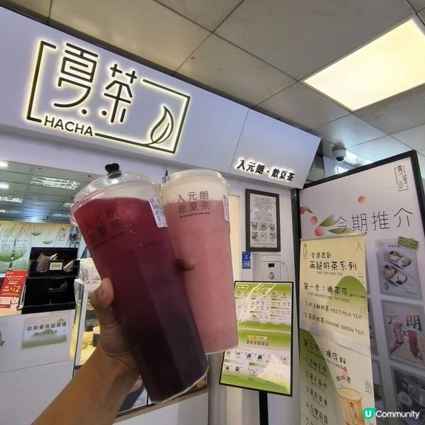 入葵廣 飲夏茶