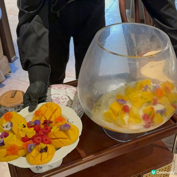 生日飯堂推介！深圳南法莊園🇫🇷🎂