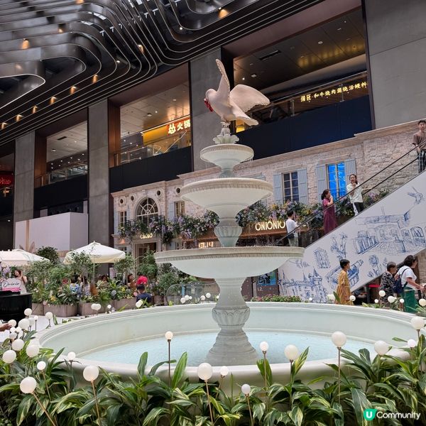 生日飯堂推介！深圳南法莊園🇫🇷🎂