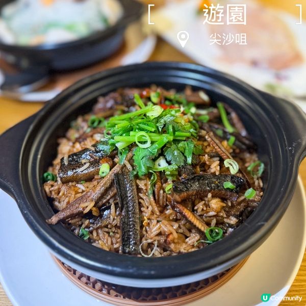 戲曲中心中菜😋！黃鱔煲仔飯超正🤤！