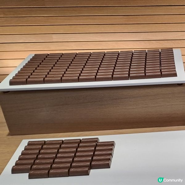 瑞士朱古力車探索芝士+朱古力廠魔幻之旅🥳