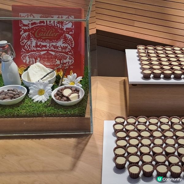 瑞士朱古力車探索芝士+朱古力廠魔幻之旅🥳