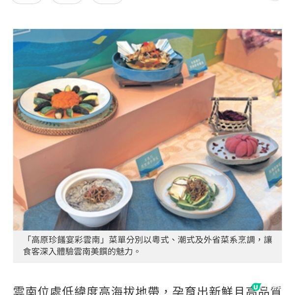 雲南珍稀食材入饌以粵潮外省菜演繹滇式風味