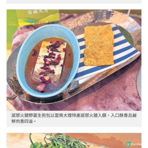 雲南珍稀食材入饌以粵潮外省菜演繹滇式風味