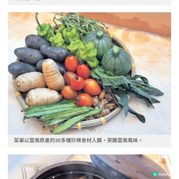 雲南珍稀食材入饌以粵潮外省菜演繹滇式風味