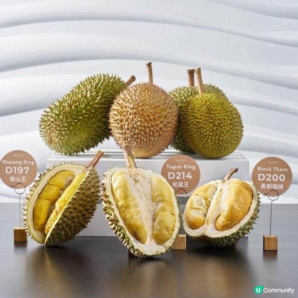 美麗華酒店辦大馬榴槤盛宴