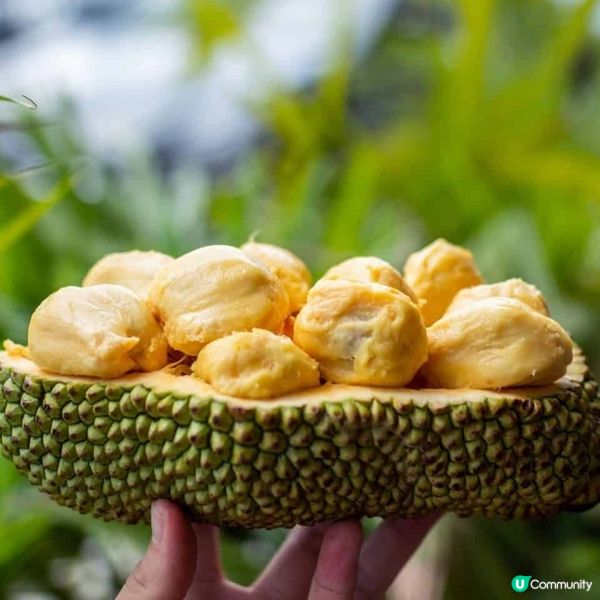 美麗華酒店辦大馬榴槤盛宴