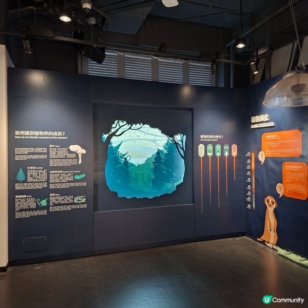 荃灣西新發現🥳木化石公園🦕 暑假必去😍