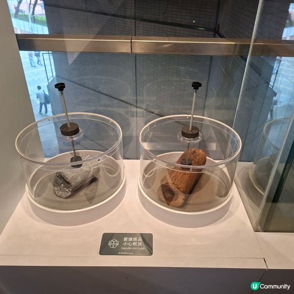 荃灣西新發現🥳木化石公園🦕 暑假必去😍