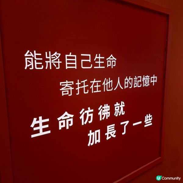 荃灣西新發現🥳木化石公園🦕 暑假必去😍