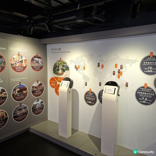 荃灣西新發現🥳木化石公園🦕 暑假必去😍