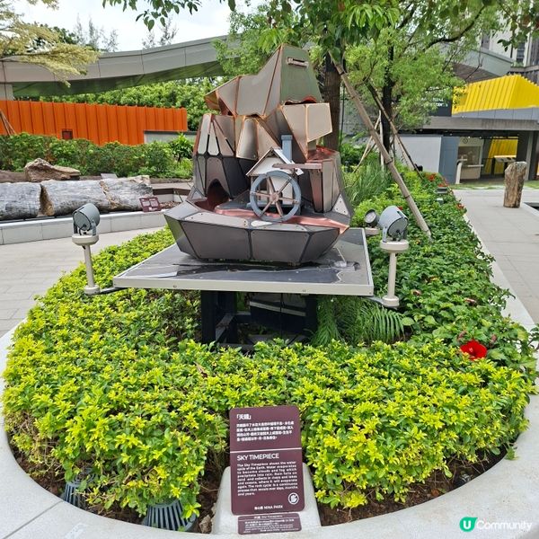 荃灣西新發現🥳木化石公園🦕 暑假必去😍