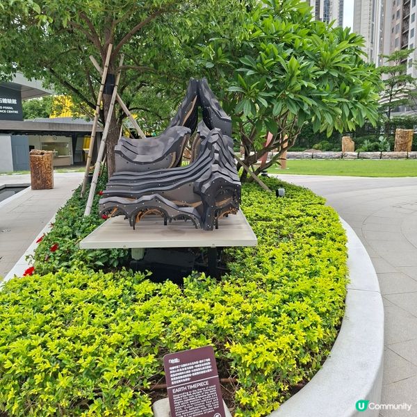 荃灣西新發現🥳木化石公園🦕 暑假必去😍