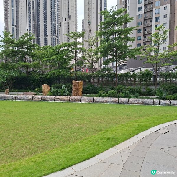 荃灣西新發現🥳木化石公園🦕 暑假必去😍