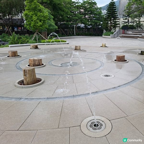 荃灣西新發現🥳木化石公園🦕 暑假必去😍