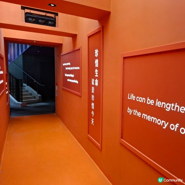 荃灣西新發現🥳木化石公園🦕 暑假必去😍