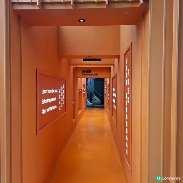 荃灣西新發現🥳木化石公園🦕 暑假必去😍