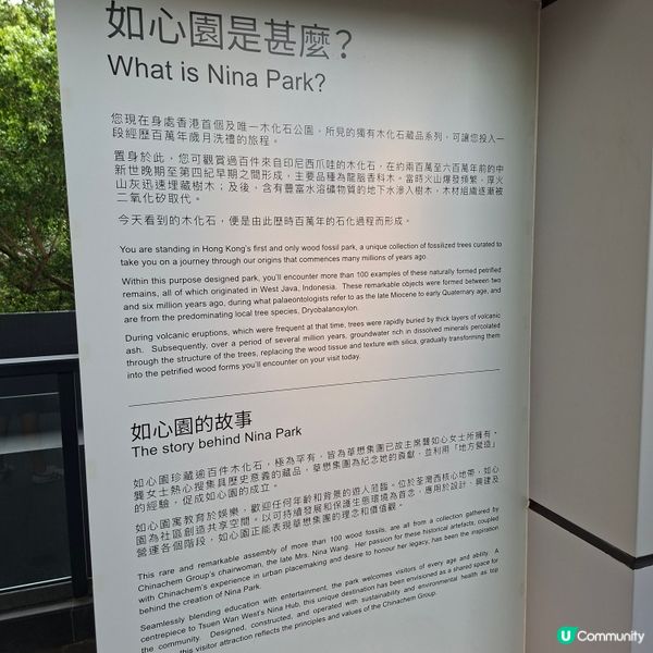 荃灣西新發現🥳木化石公園🦕 暑假必去😍