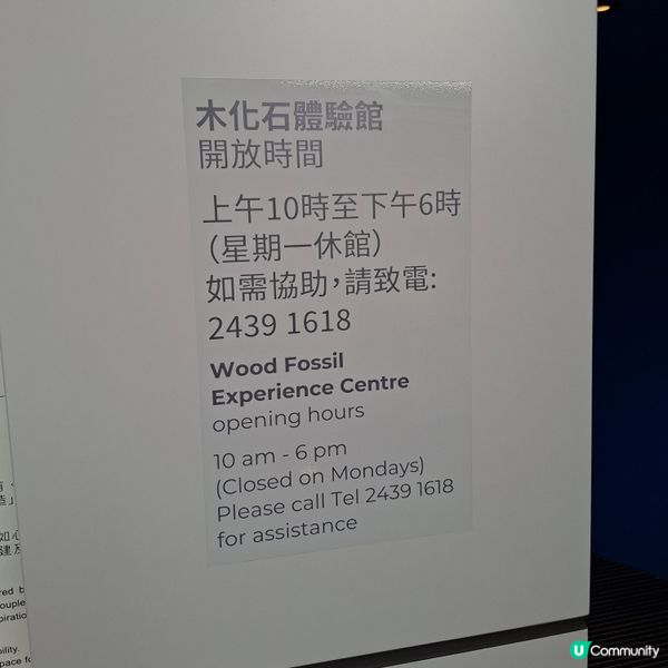 荃灣西新發現🥳木化石公園🦕 暑假必去😍