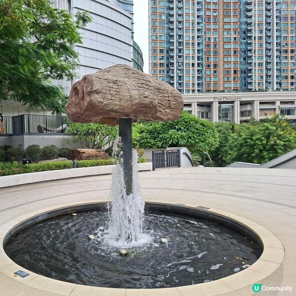 荃灣西新發現🥳木化石公園🦕 暑假必去😍