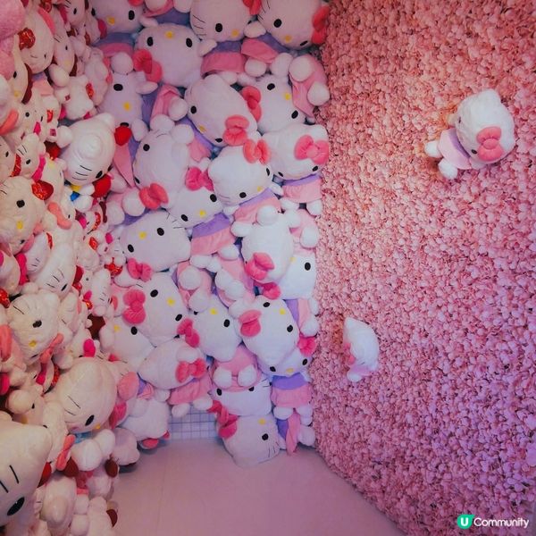 白色吉蒂貓打卡攻略！📸 必去！淡路島一日遊！😻