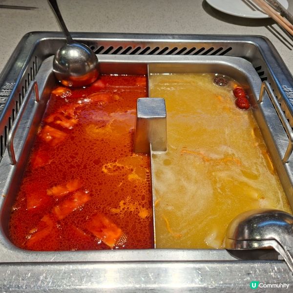 海底撈花膠雞湯底🤤必飲先😋