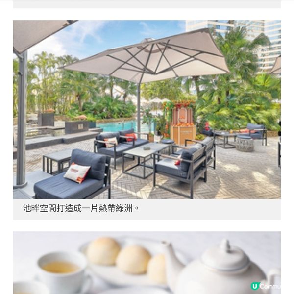 君悅酒店 露天池畔酒廊 享受微醺時光