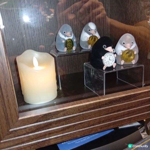 哈利波特迷注意！日本限定店登錄希慎廣場啦！🧙‍♂️✨