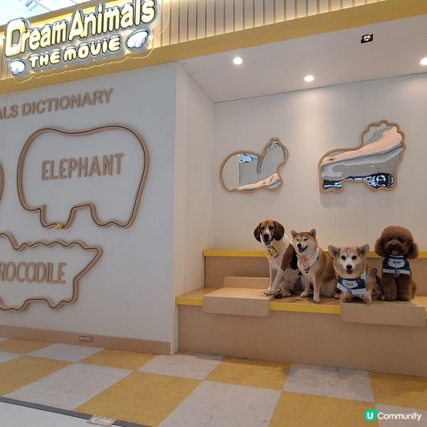 圓方睇《愉快動物餅》！🦁🐘 期間限定店開箱！🥳