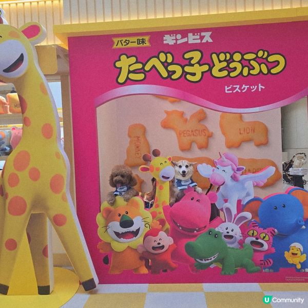 圓方睇《愉快動物餅》！🦁🐘 期間限定店開箱！🥳