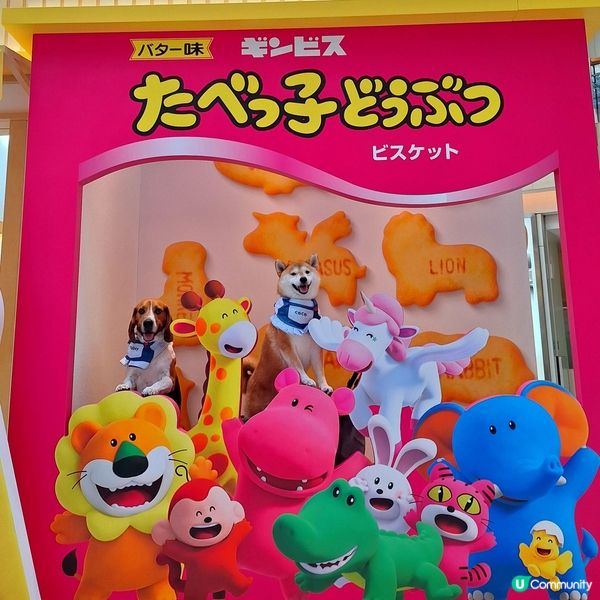 圓方睇《愉快動物餅》！🦁🐘 期間限定店開箱！🥳