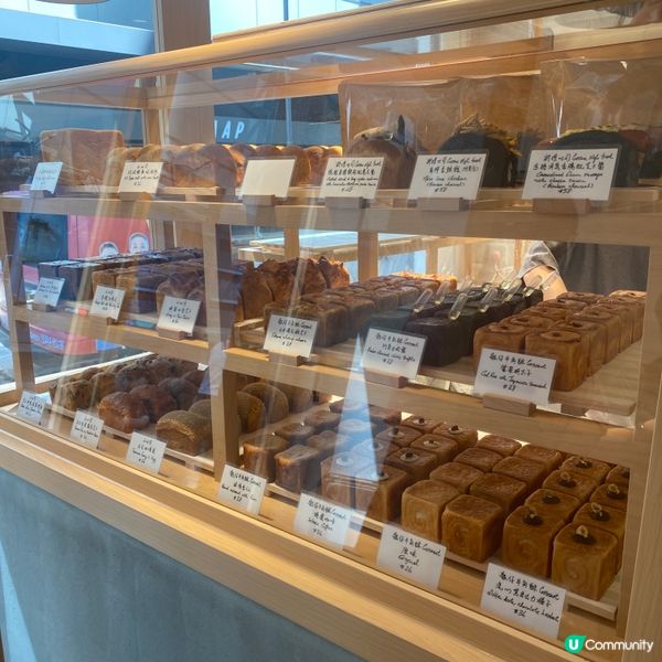 《中環新開麵包店》TVB花旦最新創作