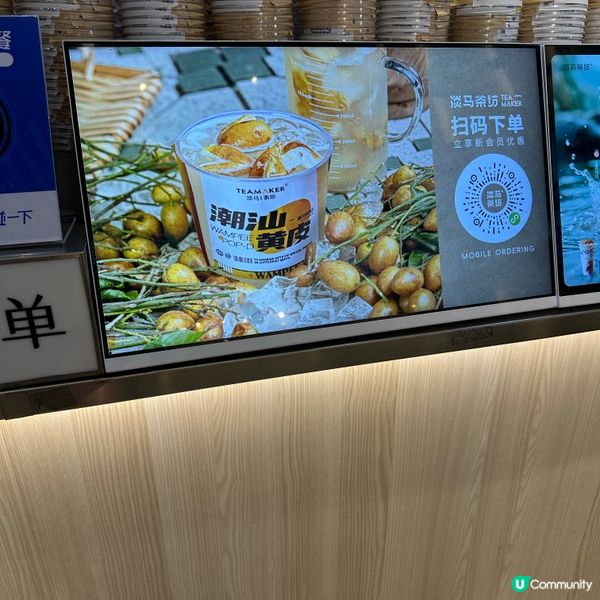 深圳北上必飲！淡馬茶坊🥤 芭樂油柑王勁正！😋