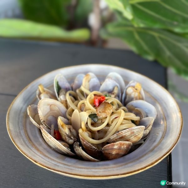 西沙隱世小店🤩！酒店級享受🤤！