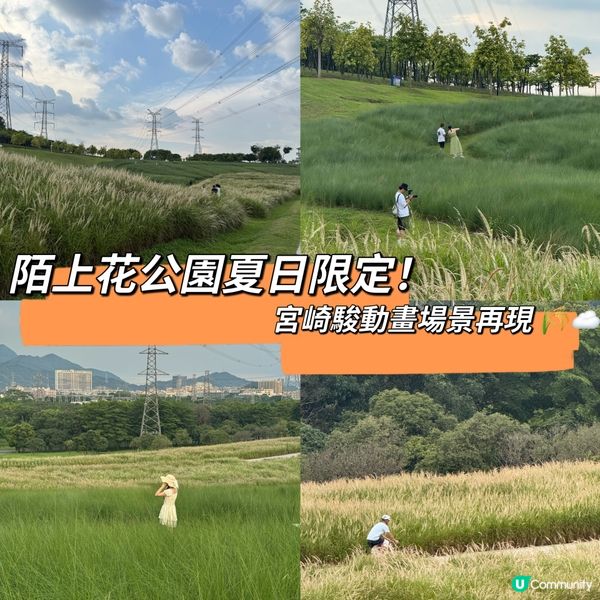 陌上花公園夏日限定！宮崎駿動畫場景再現 🌾☁️