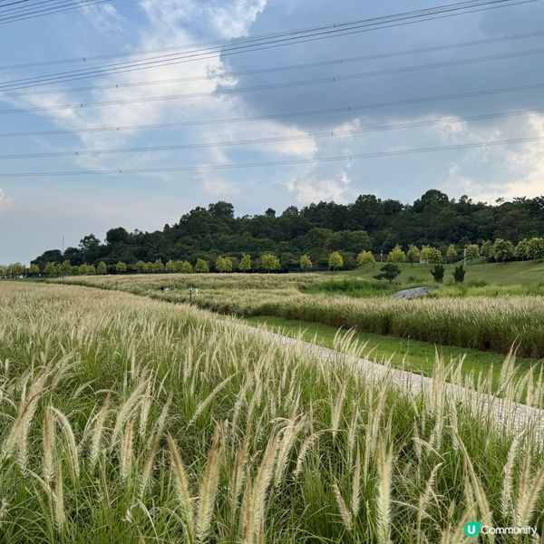 陌上花公園夏日限定！宮崎駿動畫場景再現 🌾☁️