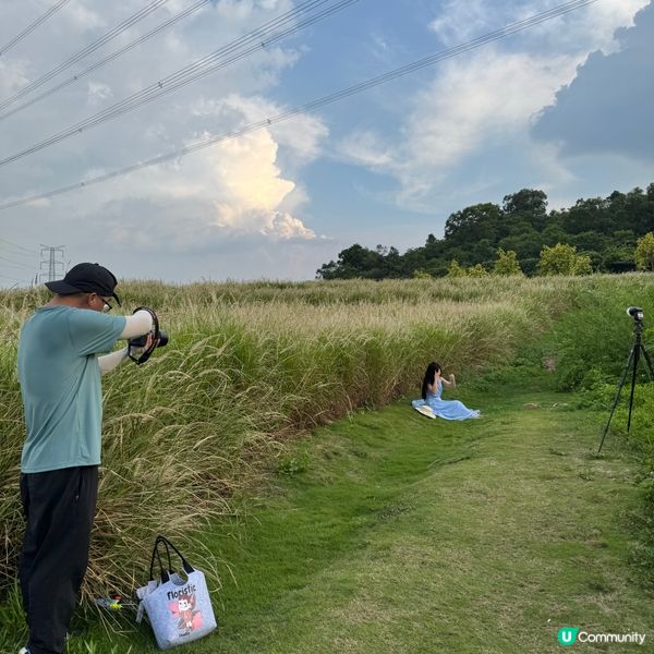 陌上花公園夏日限定！宮崎駿動畫場景再現 🌾☁️