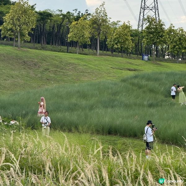 陌上花公園夏日限定！宮崎駿動畫場景再現 🌾☁️