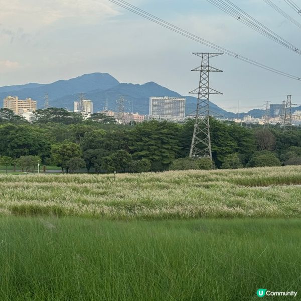 陌上花公園夏日限定！宮崎駿動畫場景再現 🌾☁️