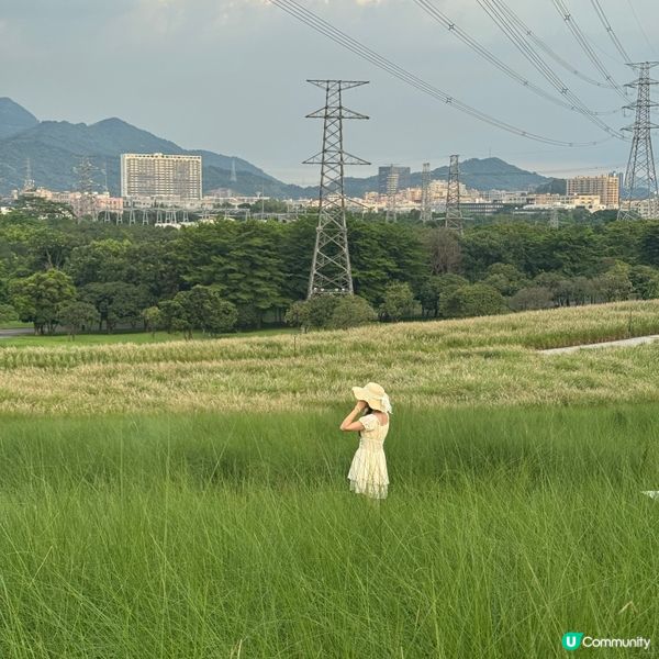 陌上花公園夏日限定！宮崎駿動畫場景再現 🌾☁️