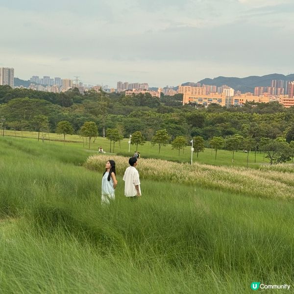 陌上花公園夏日限定！宮崎駿動畫場景再現 🌾☁️