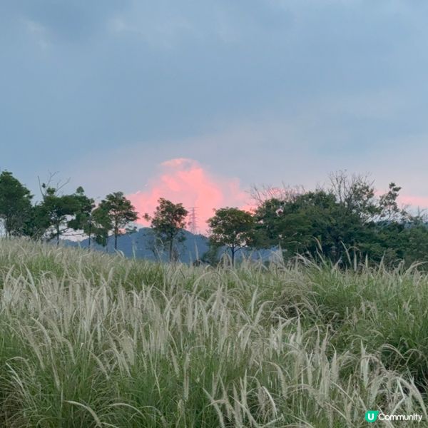 陌上花公園夏日限定！宮崎駿動畫場景再現 🌾☁️