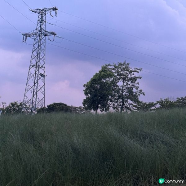 陌上花公園夏日限定！宮崎駿動畫場景再現 🌾☁️