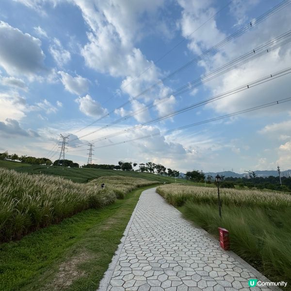 陌上花公園夏日限定！宮崎駿動畫場景再現 🌾☁️