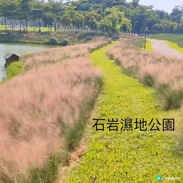 陌上花公園夏日限定！宮崎駿動畫場景再現 🌾☁️